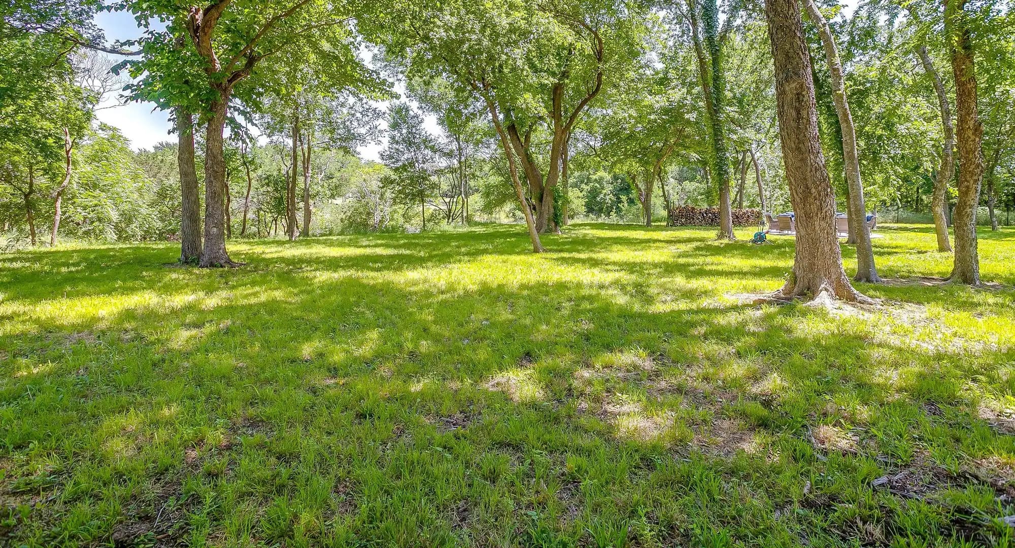 Mature trees casting shade across a mown lawn.